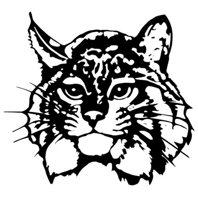 Bobcat